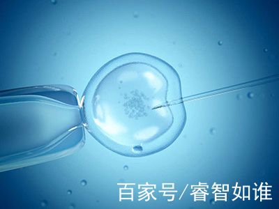 染色体易位
